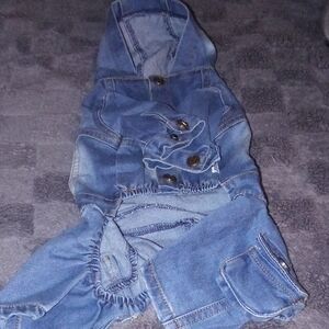 Denim Blue Dog Hoodie